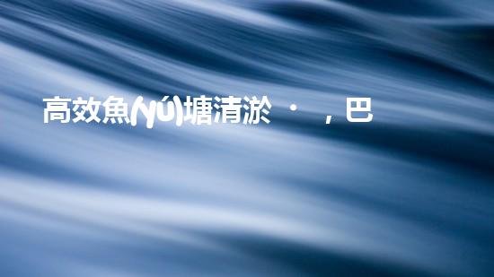 高效魚(yú)塘清淤，巴洛仕設(shè)備助力生態(tài)養(yǎng)殖